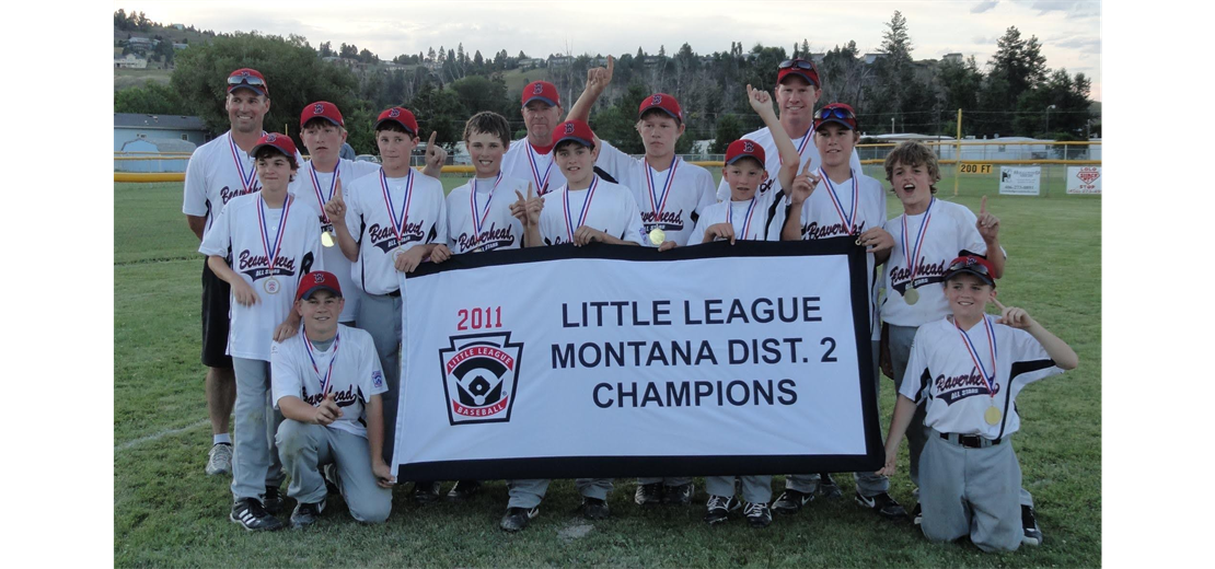 2011 Little League Baseball District Champions